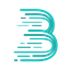 BMX icon